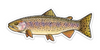 River Collective Fish Sticker