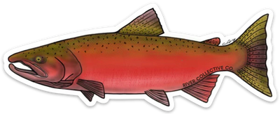 River Collective Fish Sticker