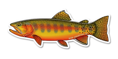 River Collective Fish Sticker