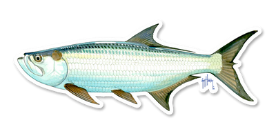 River Collective Fish Sticker