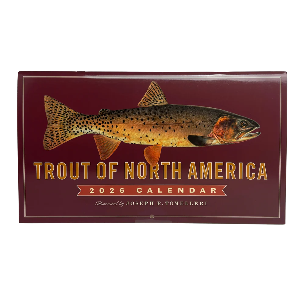Trout of North America Wall Calendar 2026