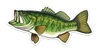 River Collective Fish Sticker