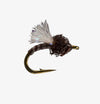 Madeira Midge