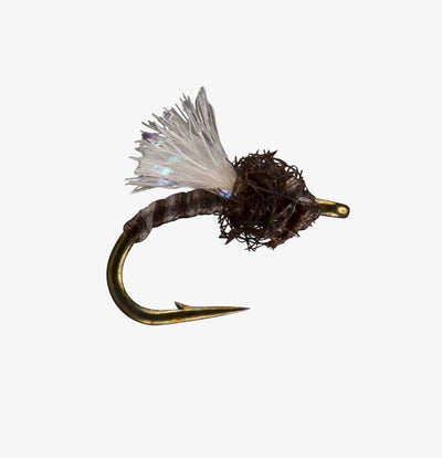 Madeira Midge