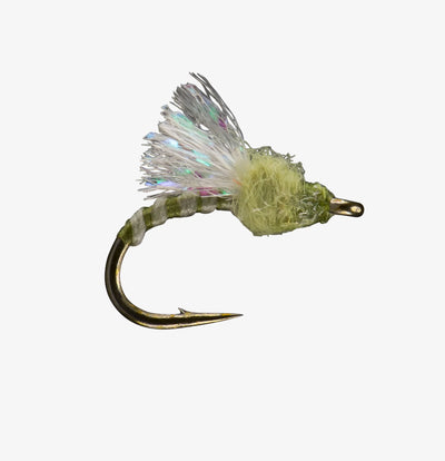 Madeira Midge