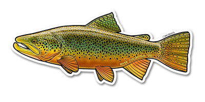 River Collective Fish Sticker