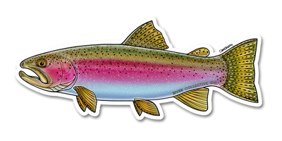 River Collective Fish Sticker