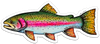 River Collective Fish Sticker