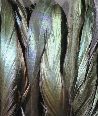 Iridescent Black Schlappen