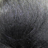 Arctic Fox Body Hair