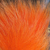 Arctic Fox Body Hair