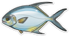 River Collective Fish Sticker