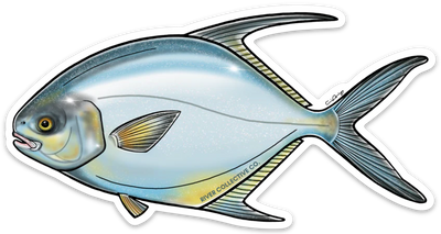 River Collective Fish Sticker