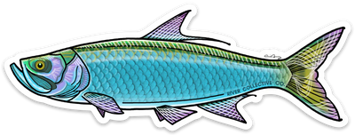 River Collective Fish Sticker