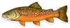 River Collective Fish Sticker