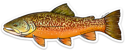 River Collective Fish Sticker