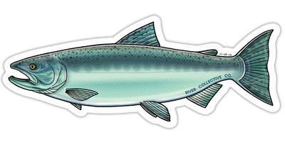 River Collective Fish Sticker