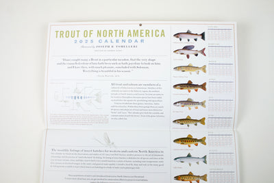 Trout of North America Wall Calendar 2025
