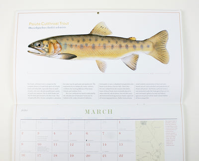 Trout of North America Wall Calendar 2025