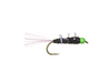 TDF Peacock Girdle Bug