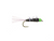 TDF Peacock Girdle Bug