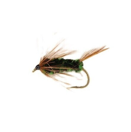 MossBack