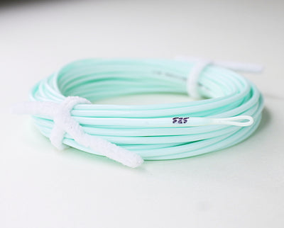 *New* Bridge Wintertide Spey Line