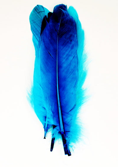 *New* Select Goose Shoulder