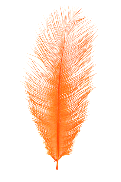 MFC Ostrich Plumes
