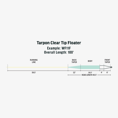 Rio Tarpon Clear Tip Floater