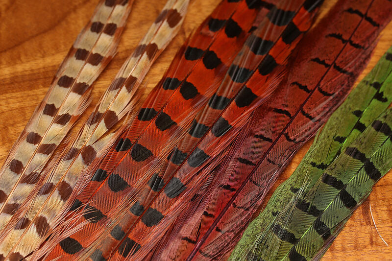 Ringneck Pheasant Tail Feathers