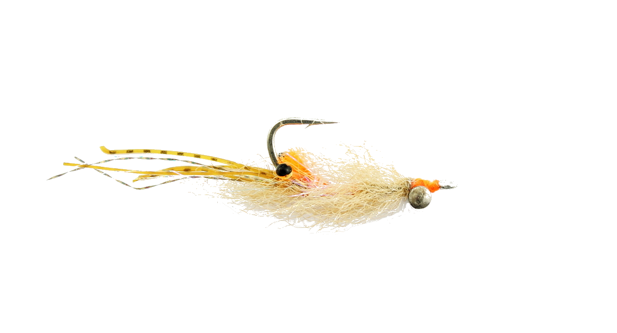 Puglisi Spawning Shrimp