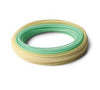 RIO InTouch Striper Fly Line