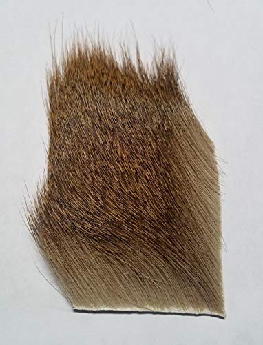 Coastal Deer Hair