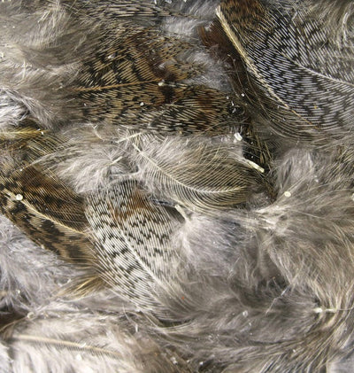 Premium Hungarian Partridge Feathers