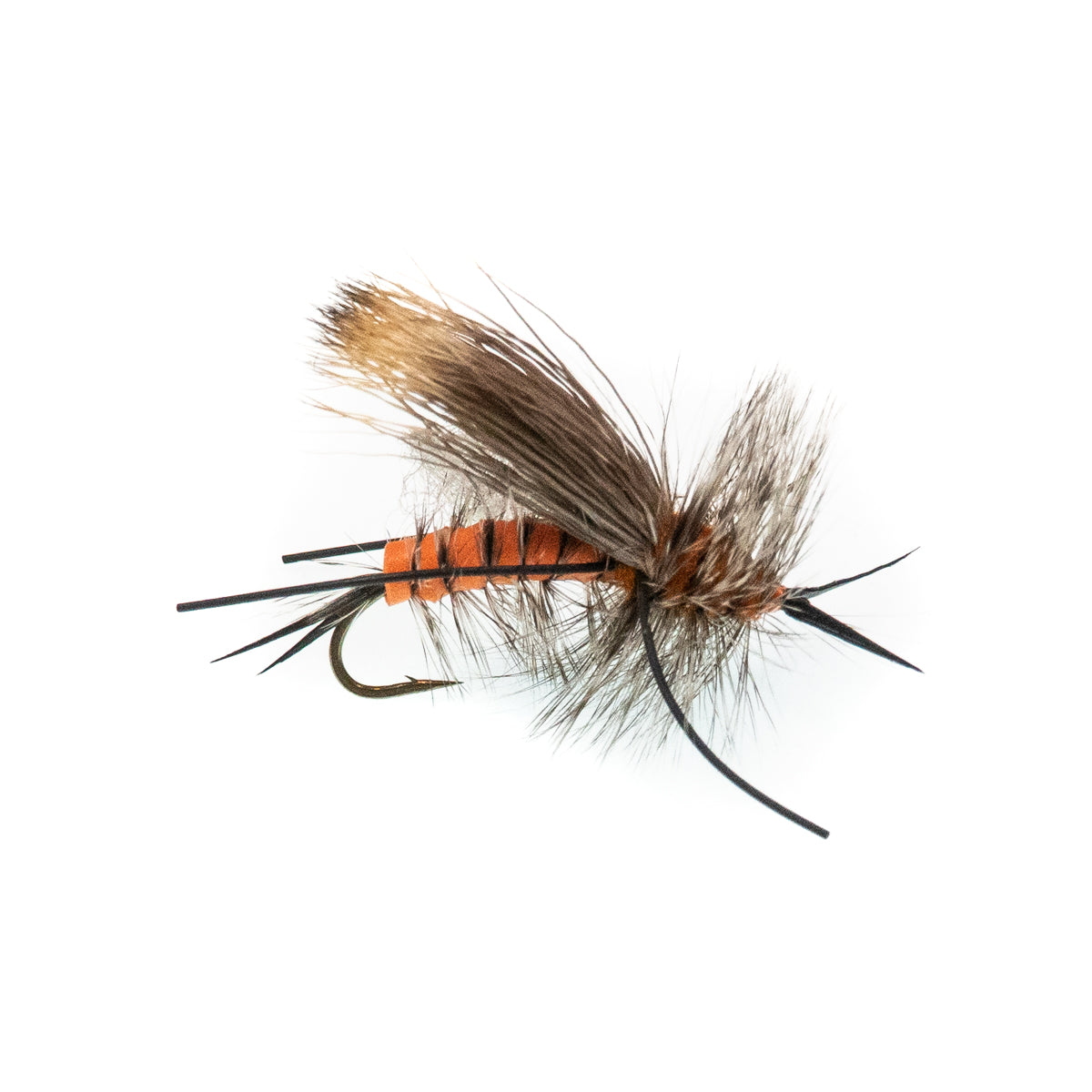 Terranasty Salmonfly