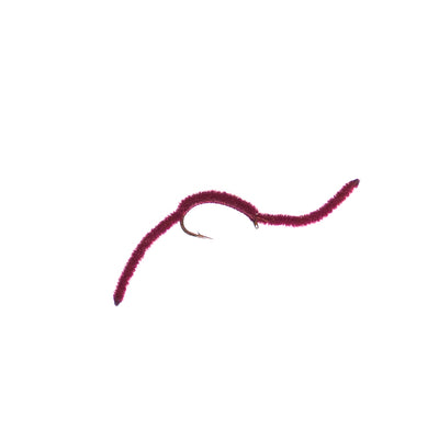 San Juan Worm