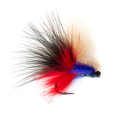 FFTR Tarpon Toad