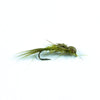 Dainty Damsel