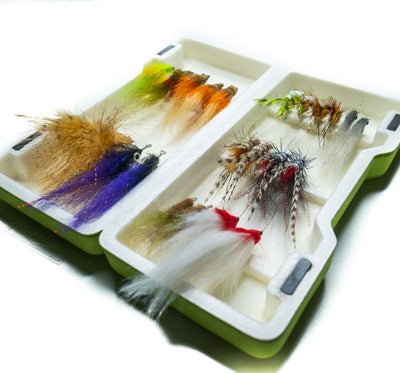 Baby Tarpon Core Fly Selection