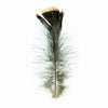 Turkey Shorts Feather