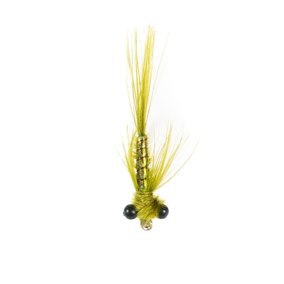 Rowley's Pearly Damsel