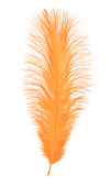 MFC Ostrich Plumes