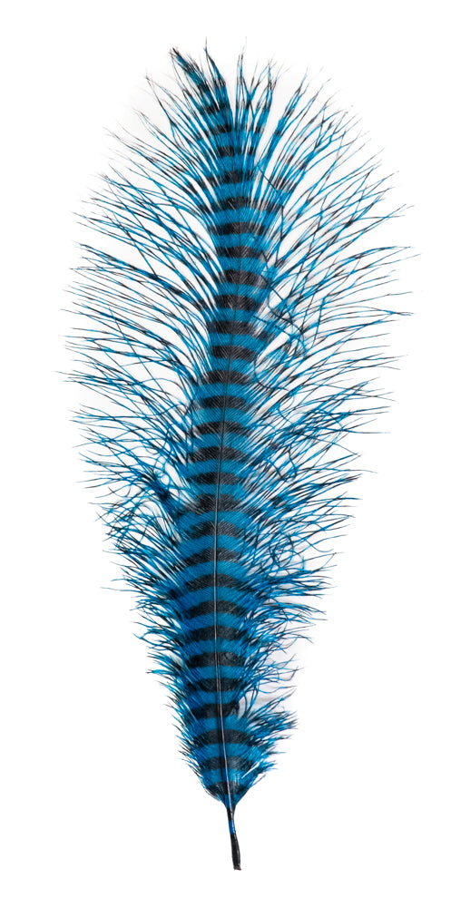 MFC Ostrich Plumes - Barred - Blue