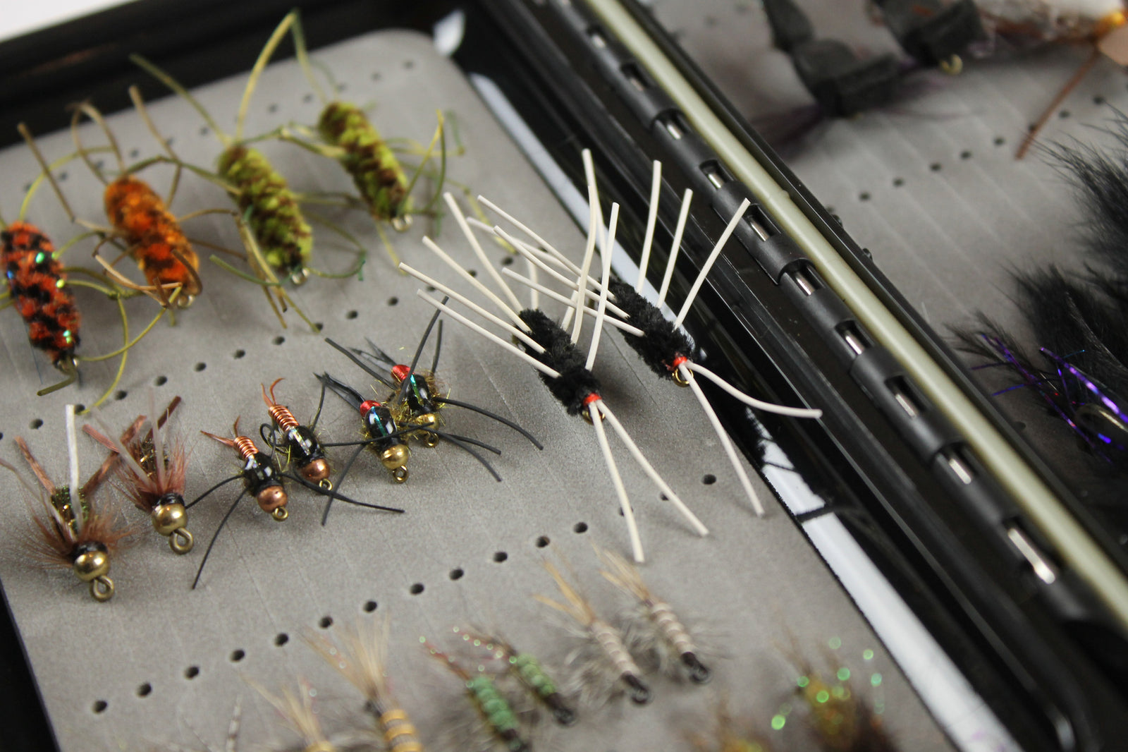 AFS | Standard Jurassic Selection