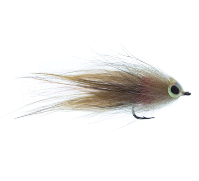 GT Brush Fly