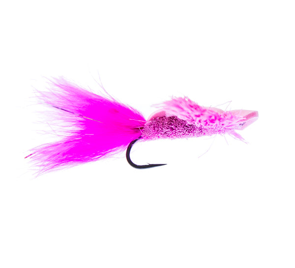 Polywog | Ashland Fly Shop