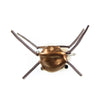 Flats Crab