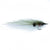 Rooster Fish Sardina
