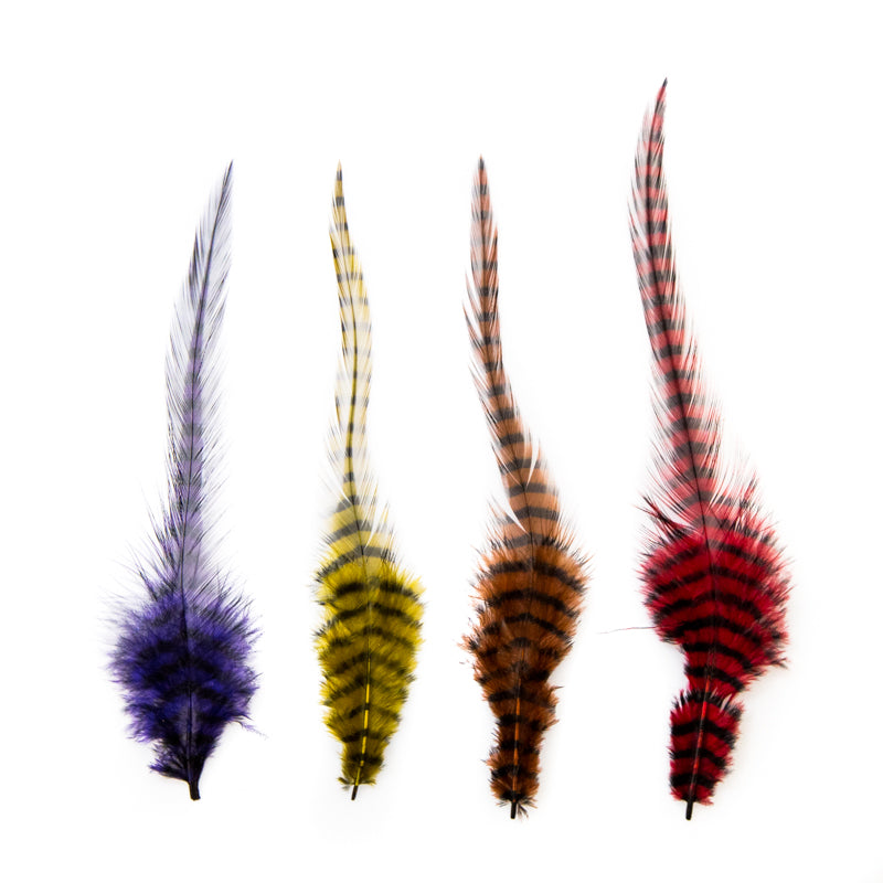 Barred Saddle Hackle